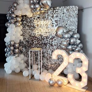 Sequin Backdrop Birthday Decor
